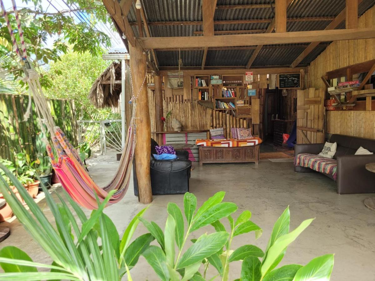 Roots Family Pansiyon Puerto Viejo de Talamanca Dış mekan fotoğraf