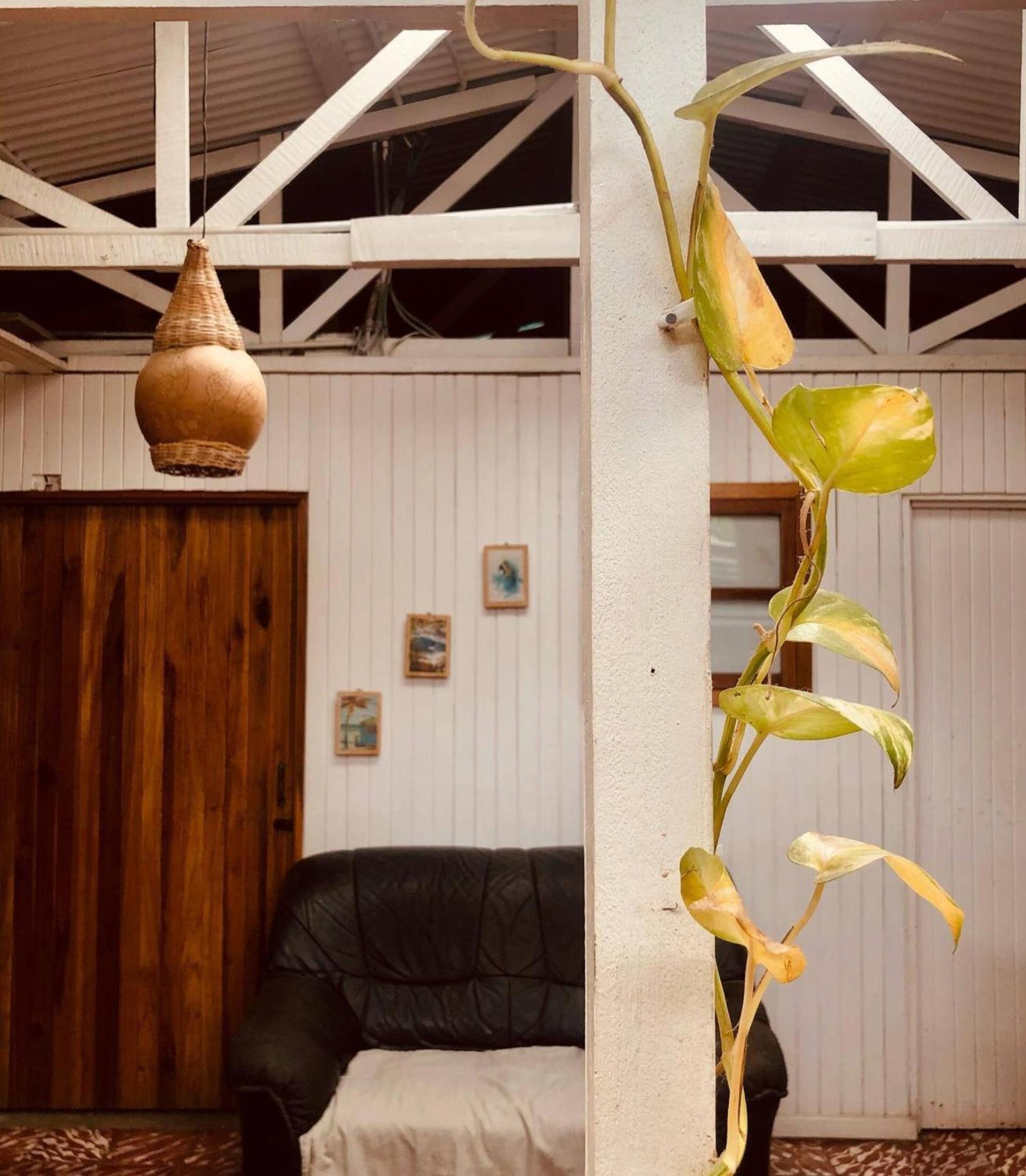 Roots Family Pansiyon Puerto Viejo de Talamanca Dış mekan fotoğraf