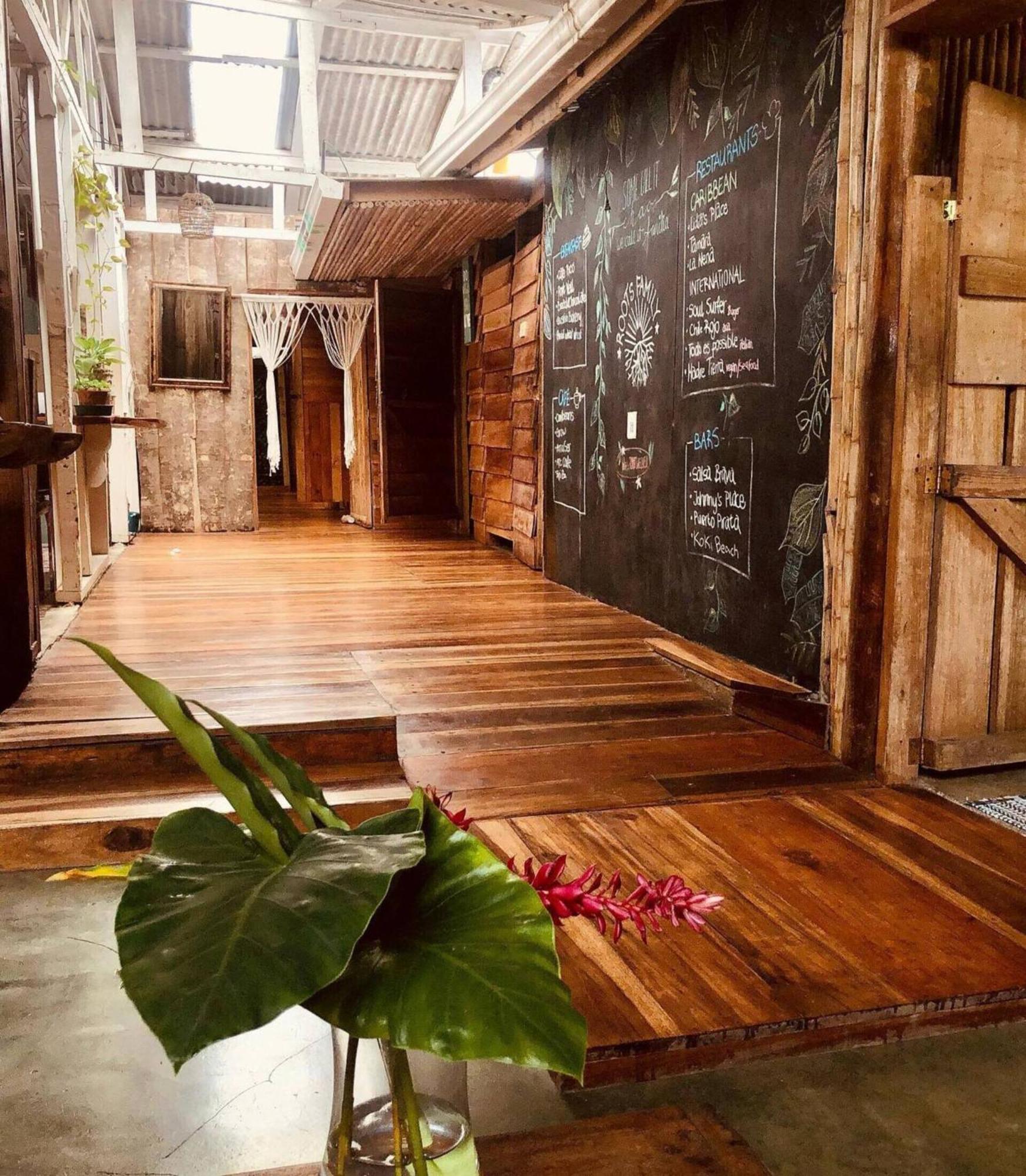 Roots Family Pansiyon Puerto Viejo de Talamanca Dış mekan fotoğraf